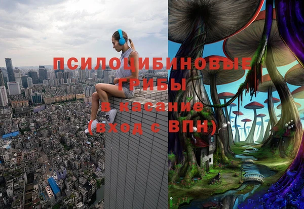 не бодяженный Богородск